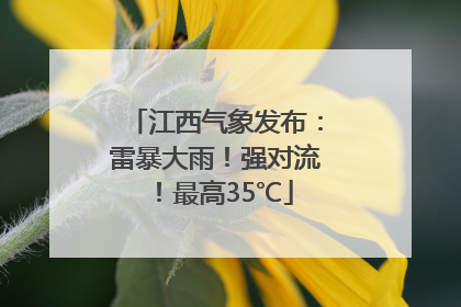 江西气象发布：雷暴大雨！强对流！最高35℃