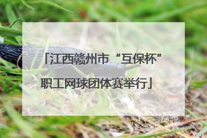 江西赣州市“互保杯”职工网球团体赛举行