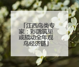 江西鸟类专家：彩鹮筑巢或撬动全年观鸟经济链