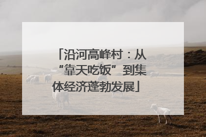 沿河高峰村：从“靠天吃饭”到集体经济蓬勃发展