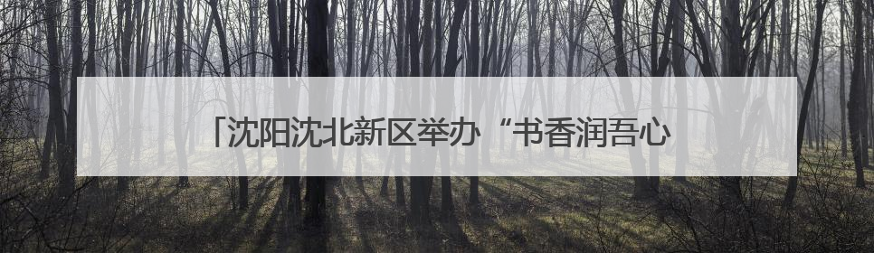 沈阳沈北新区举办“书香润吾心 阅读悦美好”读书市集活动