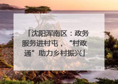 沈阳浑南区：政务服务进村屯，“村政通”助力乡村振兴