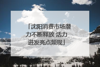 沈阳消费市场潜力不断释放 活力迸发亮点频现