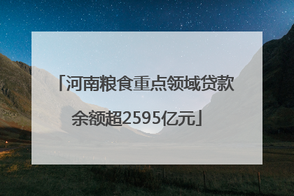 河南粮食重点领域贷款余额超2595亿元
