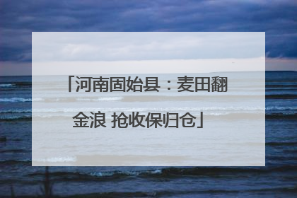河南固始县：麦田翻金浪 抢收保归仓