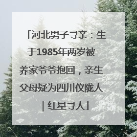 河北男子寻亲：生于1985年两岁被养家爷爷抱回，亲生父母疑为四川仪陇人｜红星寻人