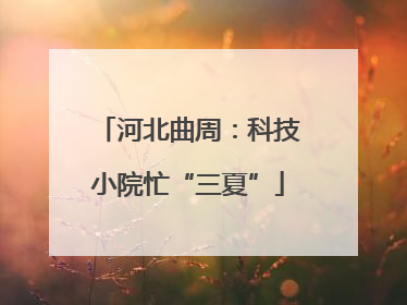 河北曲周：科技小院忙“三夏”