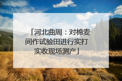 河北曲周：对棉麦间作试验田进行实打实收现场测产