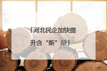 河北民企加快提升含“新”量