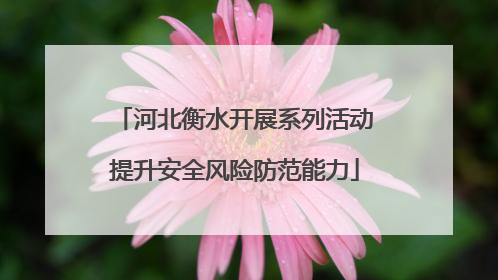 河北衡水开展系列活动提升安全风险防范能力