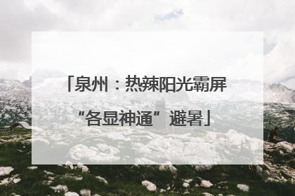 泉州：热辣阳光霸屏 “各显神通”避暑