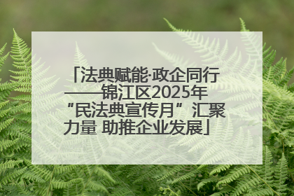 法典赋能·政企同行——锦江区2025年“民法典宣传月”汇聚力量 助推企业发展