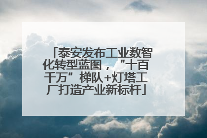 泰安发布工业数智化转型蓝图，“十百千万”梯队+灯塔工厂打造产业新标杆