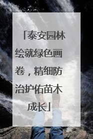 泰安园林绘就绿色画卷，精细防治护佑苗木成长