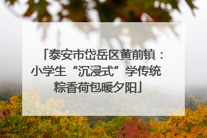 泰安市岱岳区黄前镇：小学生“沉浸式”学传统 粽香荷包暖夕阳