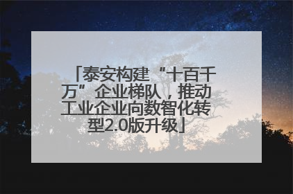 泰安构建“十百千万”企业梯队，推动工业企业向数智化转型2.0版升级