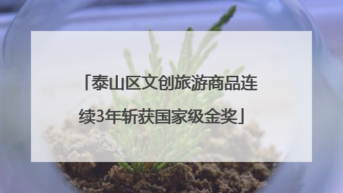 泰山区文创旅游商品连续3年斩获国家级金奖