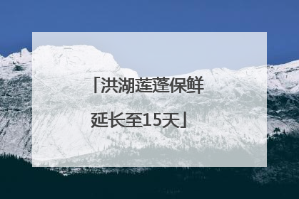 洪湖莲蓬保鲜延长至15天