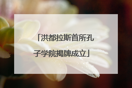 洪都拉斯首所孔子学院揭牌成立