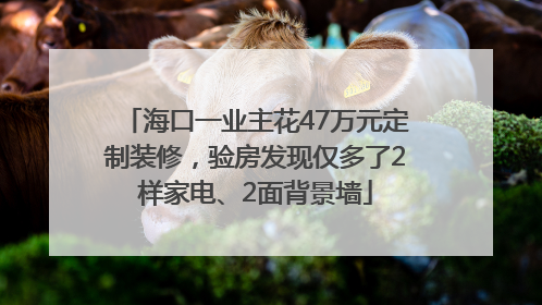 海口一业主花47万元定制装修，验房发现仅多了2样家电、2面背景墙