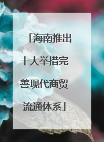 海南推出十大举措完善现代商贸流通体系