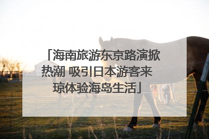 海南旅游东京路演掀热潮 吸引日本游客来琼体验海岛生活
