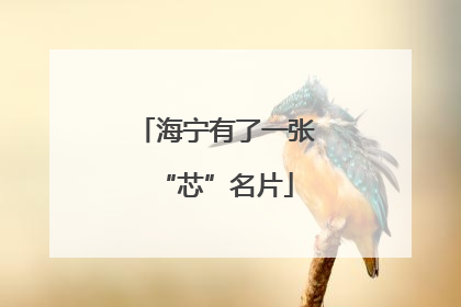 海宁有了一张“芯”名片