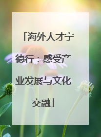 海外人才宁德行：感受产业发展与文化交融