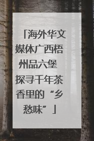 海外华文媒体广西梧州品六堡 探寻千年茶香里的“乡愁味”