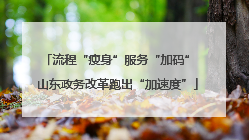 流程“瘦身”服务“加码” 山东政务改革跑出“加速度”