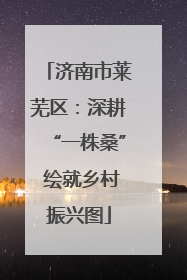 济南市莱芜区：深耕“一株桑” 绘就乡村振兴图