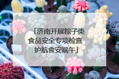 济南开展粽子类食品安全专项检查 护航食安端午