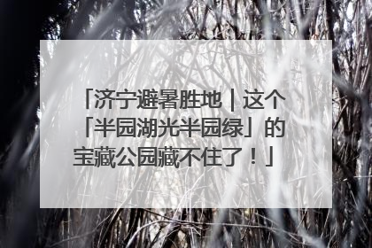 济宁避暑胜地｜这个「半园湖光半园绿」的宝藏公园藏不住了！