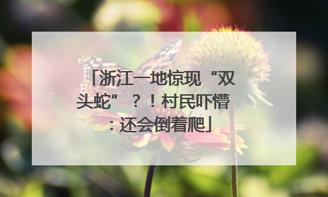 浙江一地惊现“双头蛇”？！村民吓懵：还会倒着爬