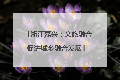 浙江嘉兴：文旅融合促进城乡融合发展
