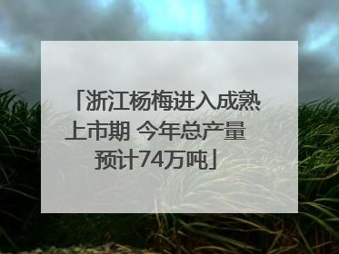 浙江杨梅进入成熟上市期 今年总产量预计74万吨