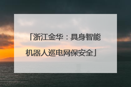 浙江金华：具身智能机器人巡电网保安全
