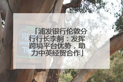 浦发银行伦敦分行行长李舸：发挥跨境平台优势，助力中英经贸合作