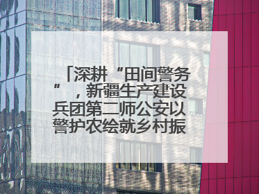 深耕“田间警务”，新疆生产建设兵团第二师公安以警护农绘就乡村振兴平安画卷