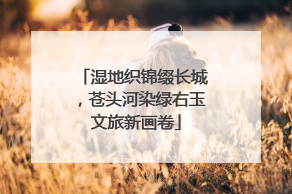 湿地织锦缀长城，苍头河染绿右玉文旅新画卷