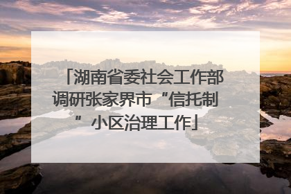 湖南省委社会工作部调研张家界市“信托制”小区治理工作