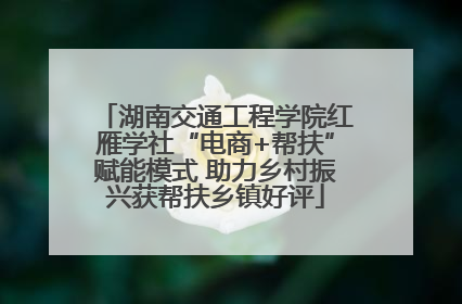 湖南交通工程学院红雁学社“电商+帮扶”赋能模式 助力乡村振兴获帮扶乡镇好评