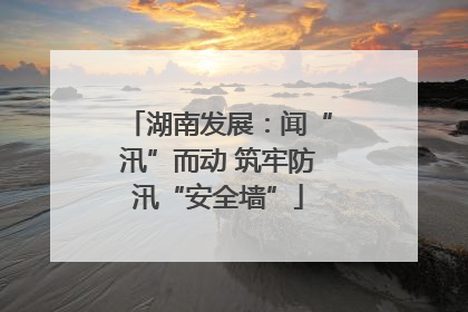 湖南发展：闻“汛”而动 筑牢防汛“安全墙”