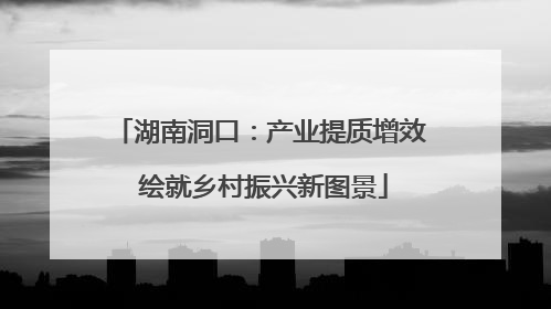 湖南洞口：产业提质增效 绘就乡村振兴新图景