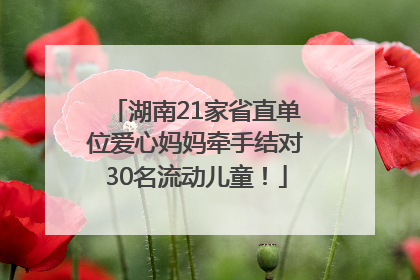 湖南21家省直单位爱心妈妈牵手结对30名流动儿童！