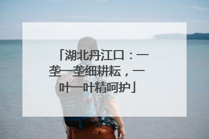 湖北丹江口：一垄一垄细耕耘，一叶一叶精呵护