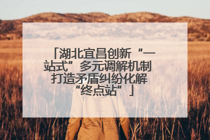 湖北宜昌创新“一站式”多元调解机制 打造矛盾纠纷化解“终点站”