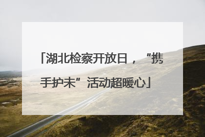 湖北检察开放日，“携手护未”活动超暖心