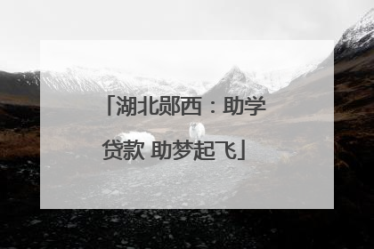 湖北郧西：助学贷款 助梦起飞