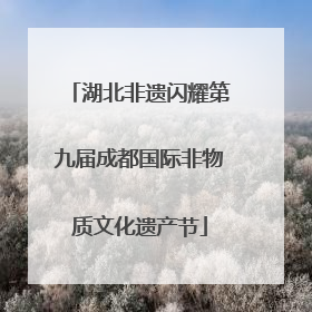 湖北非遗闪耀第九届成都国际非物质文化遗产节
